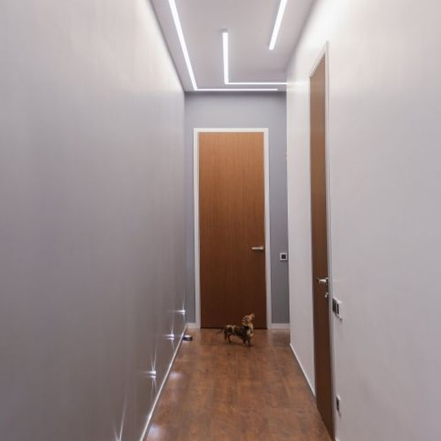 Световые линии